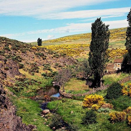 Casa Rural La Vereilla Barajas de Gredos Dış mekan fotoğraf