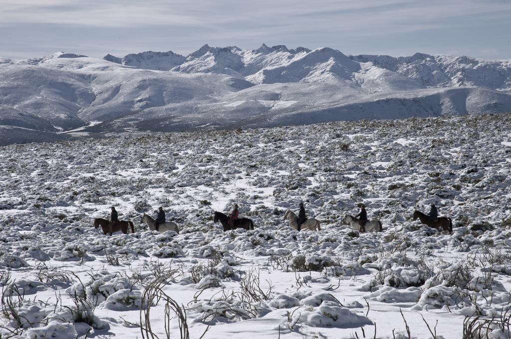 Casa Rural La Vereilla Barajas de Gredos Dış mekan fotoğraf