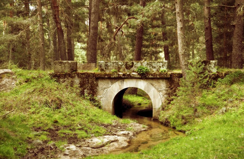 Casa Rural La Vereilla Barajas de Gredos Dış mekan fotoğraf