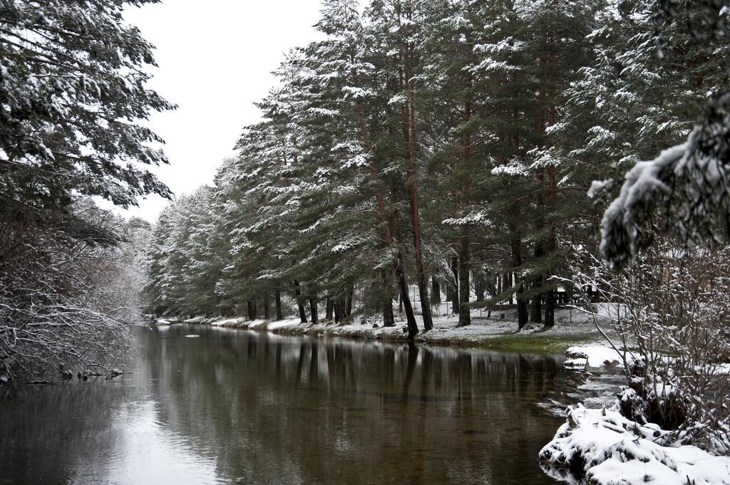 Casa Rural La Vereilla Barajas de Gredos Dış mekan fotoğraf