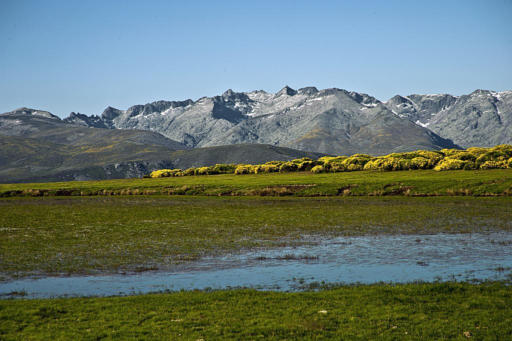 Casa Rural La Vereilla Barajas de Gredos Dış mekan fotoğraf